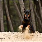 Sandsturm in Lignano