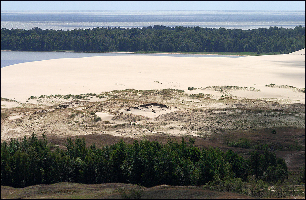 sandünen auf der kurischen nehrung