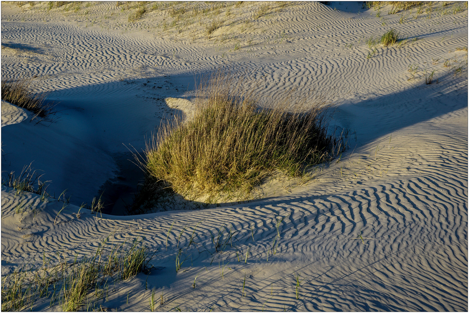 Sandwellen Foto & Bild natur, strand, landschaft Bilder auf