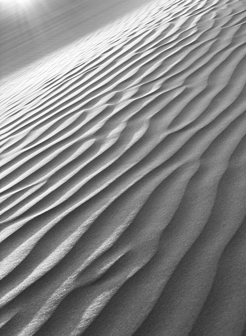 Sandwellen 