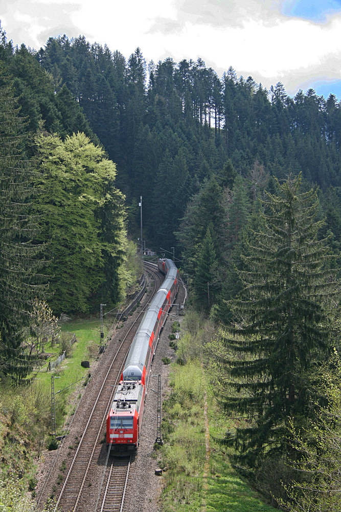 Sandwich im Schwarzwald