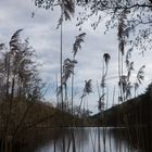 Sandwiesenweiher bei St. Martin, Rheinland-Pfalz