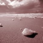 "Sandwolken" am Strand von Sylt