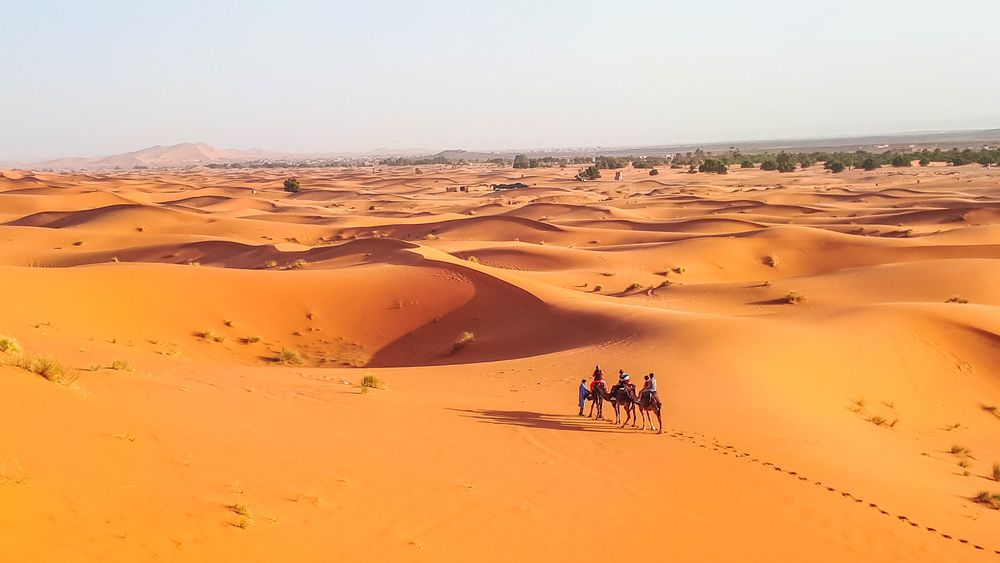 Sandwüste Foto & Bild | africa, morocco, north africa Bilder auf ...