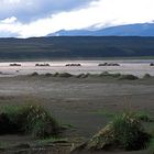 Sandy beach on Hegranes