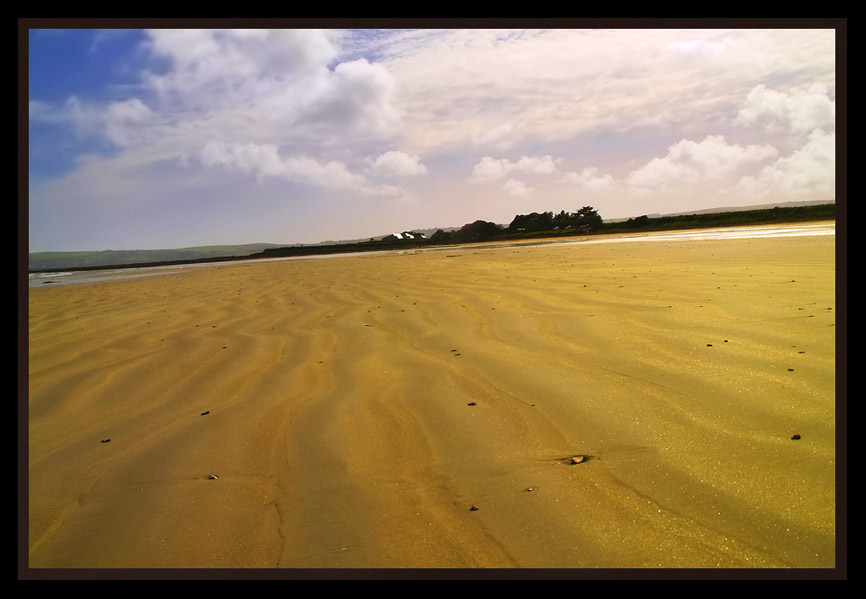 Sandy Breeze