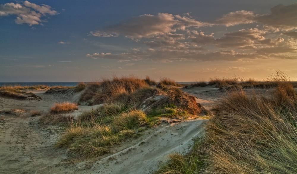 Sandy evening