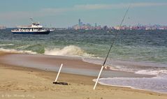 Sandy Hook Beach, NJ