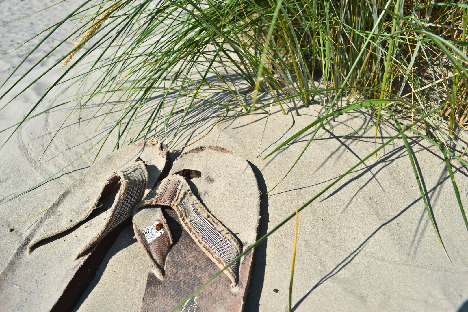 Sandy Shoes