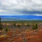 Sanfjället Nationalpark ......