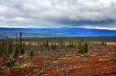 Sanfjället Nationalpark ......