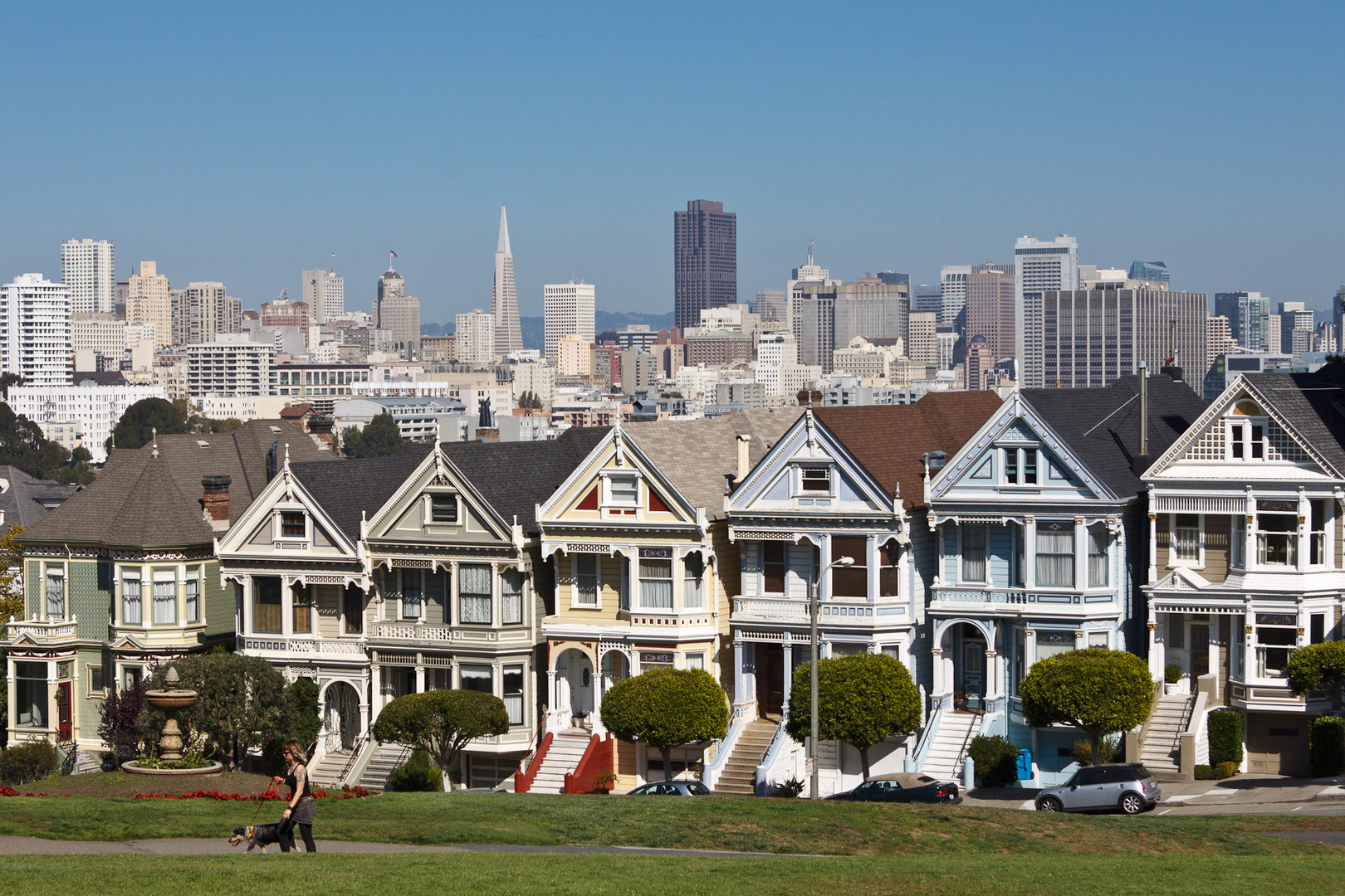 SanFrancisco Painted Ladies