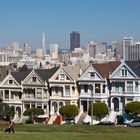 SanFrancisco Painted Ladies