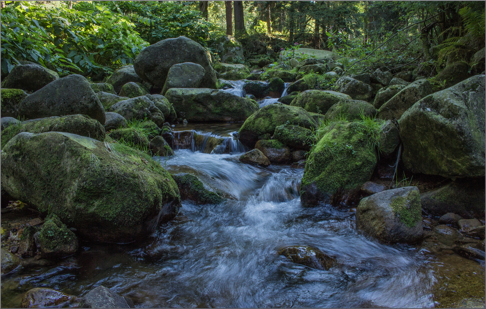 Sanft rauscht der Bach