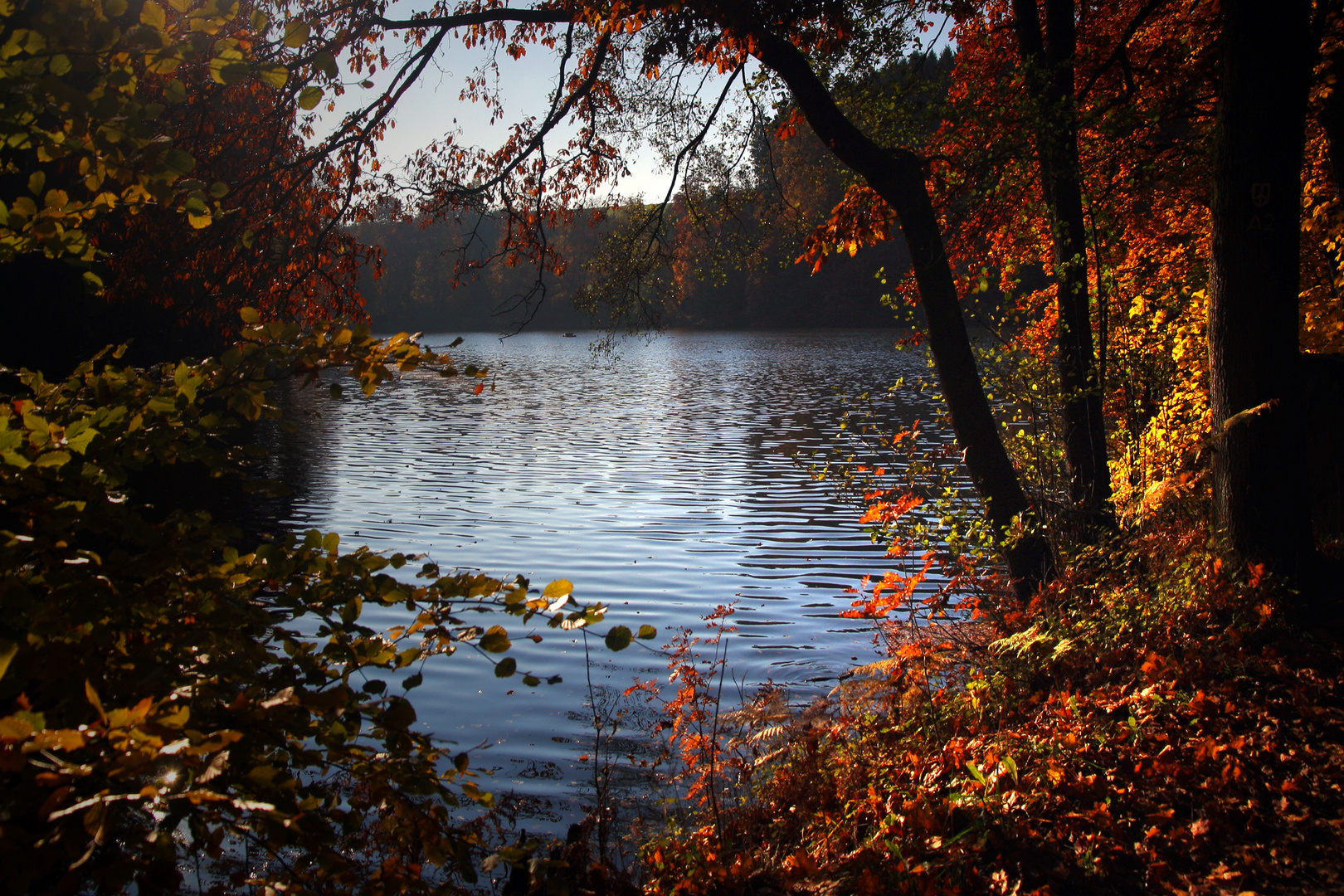 Sanft ruht der See