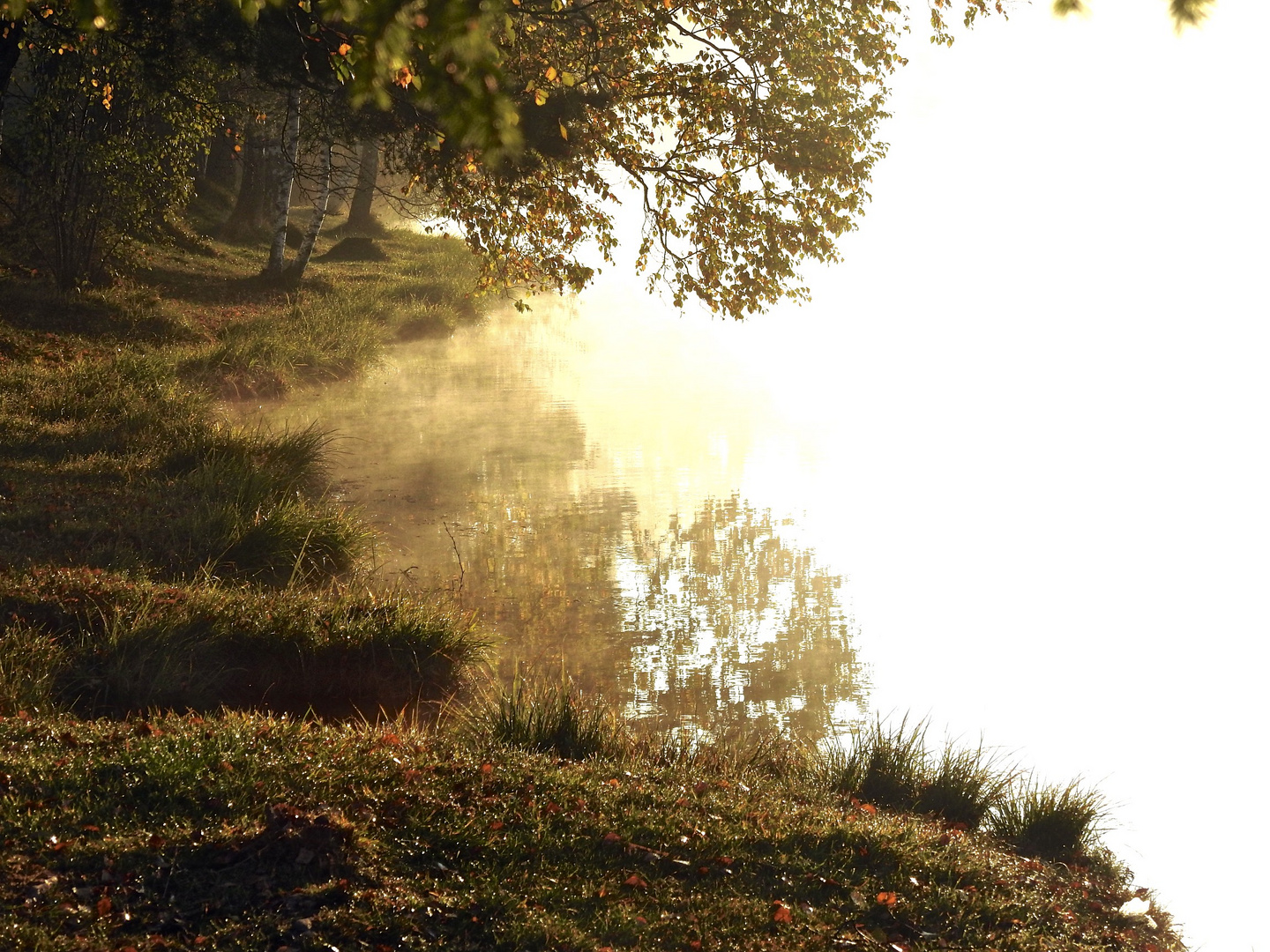 Sanft und geheimnivoll ist der Wald und der See spiegelt es