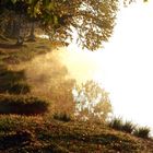 Sanft und geheimnivoll ist der Wald und der See spiegelt es