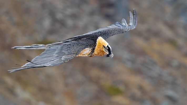 "Sanft und leise......"