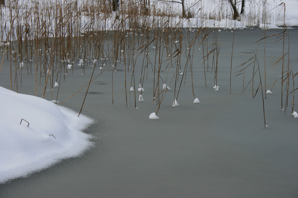 Sanft und wild gemeinsam