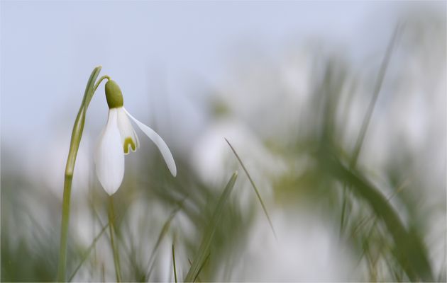 *Sanft & verträumt*