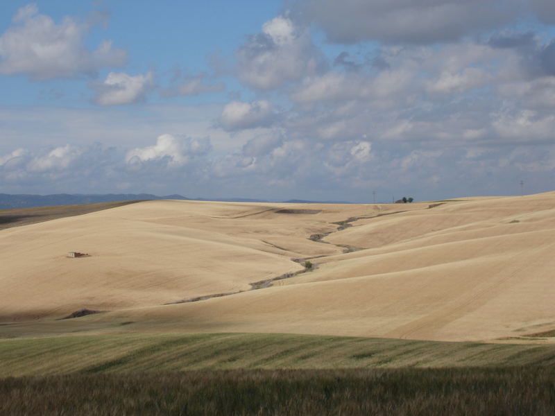 Sanfte, andalusische Wellenlandschaft