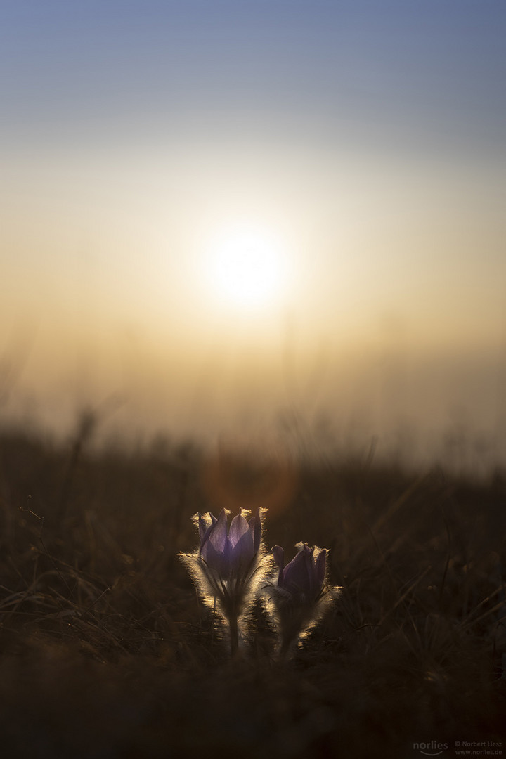 Sanfte Berührung durch die Sonne