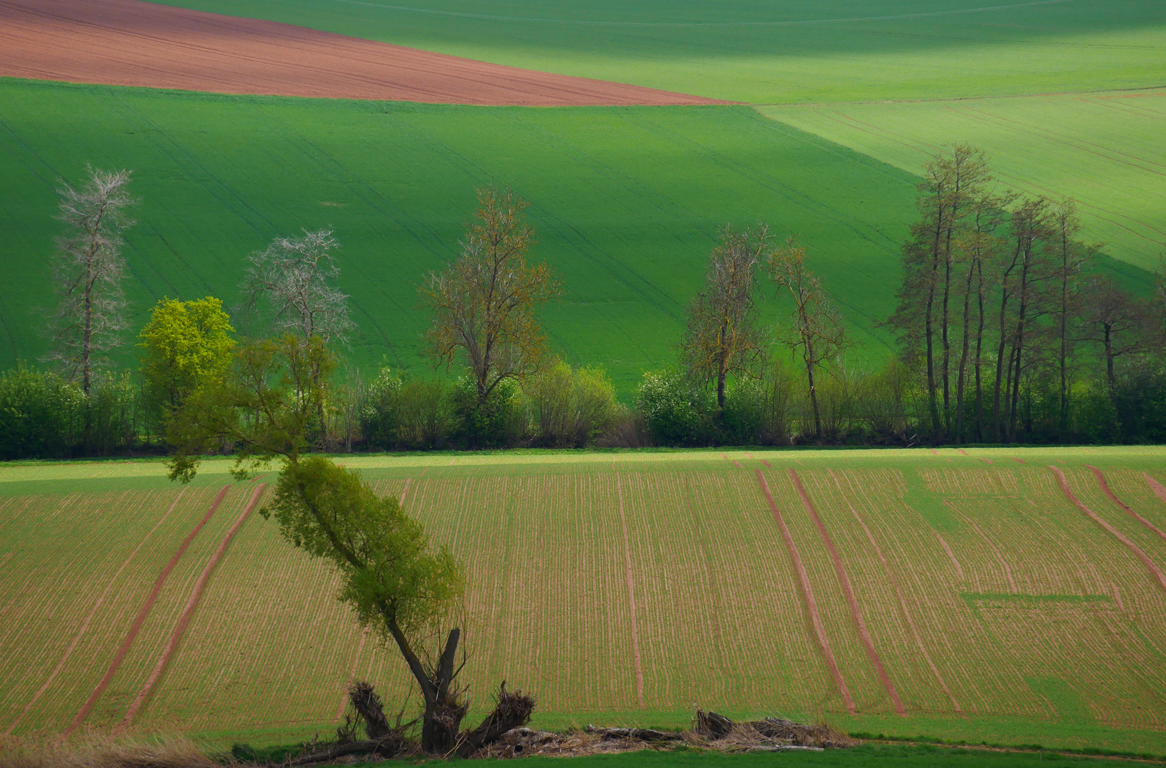 sanfte Frühlingsfarben