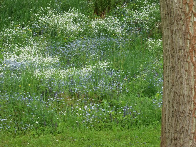 Sanfte Frühlingsfarben