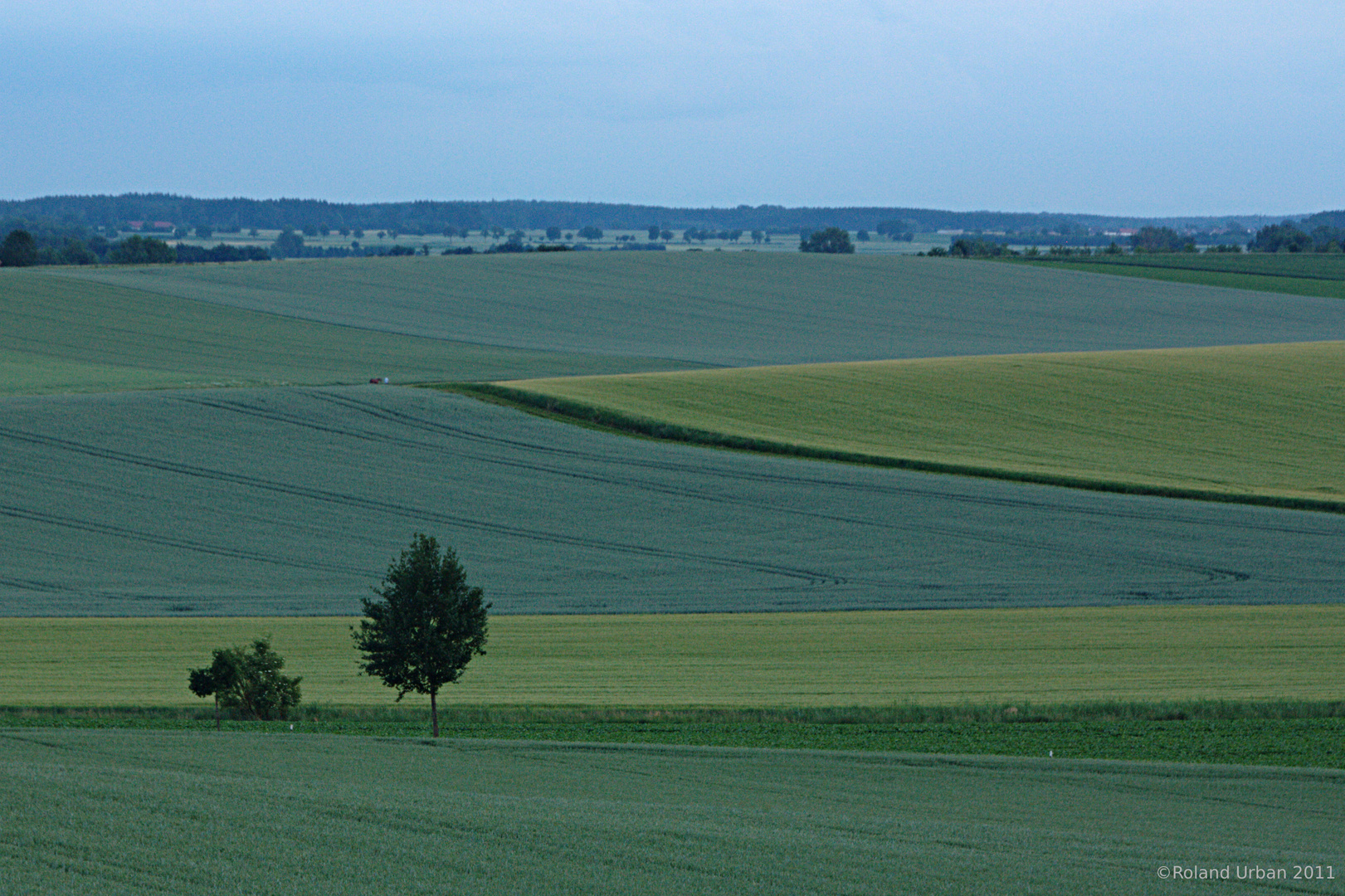 Sanfte grüne Hügel