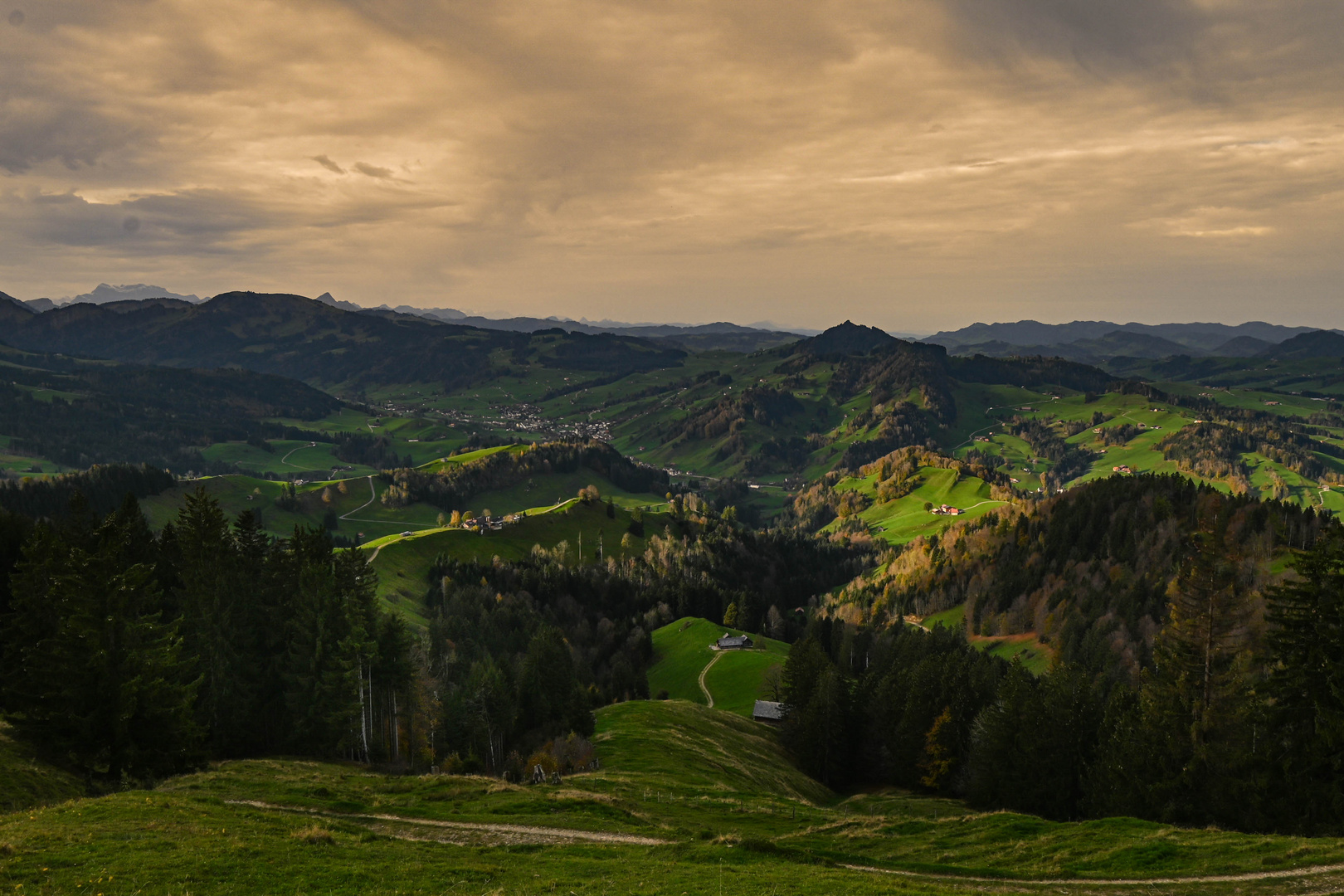 Sanfte Hügellandschaft des Appenzellerlandes