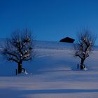 sanfte Kurven - lange Schatten