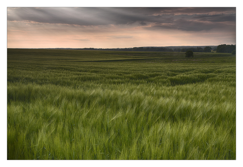 Sanfte Landschaft