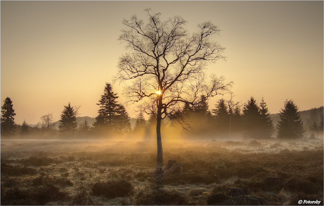 Sanfte Nebel...