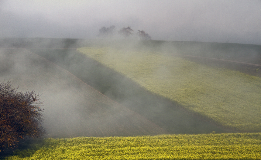 Sanfte Nebel... von Robert Schwendemann 