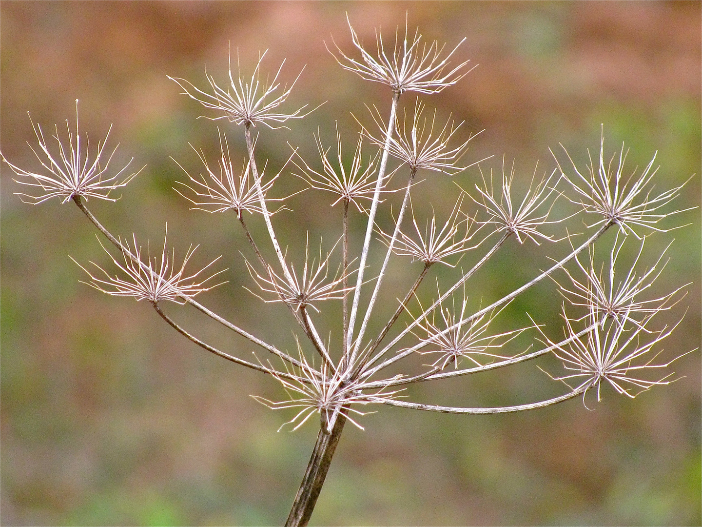 ... SANFTE NOVEMBERFARBEN 1...