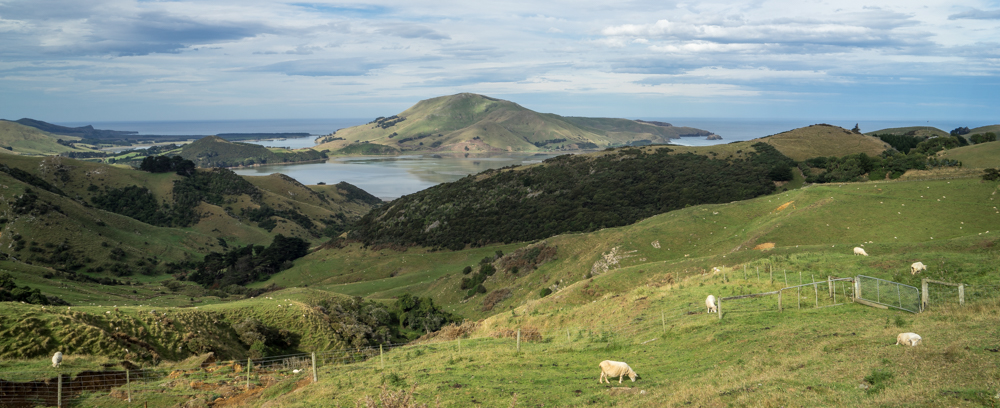 Sanfte Otago Peninsula