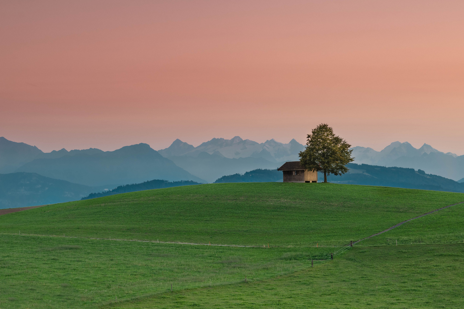 Sanfte Schönheit