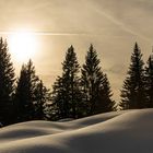 Sanfte Winterlandschaft