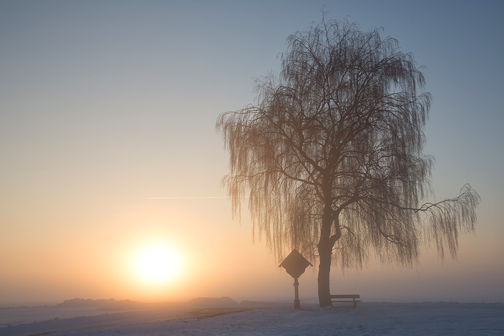 Sanfte Wintertöne