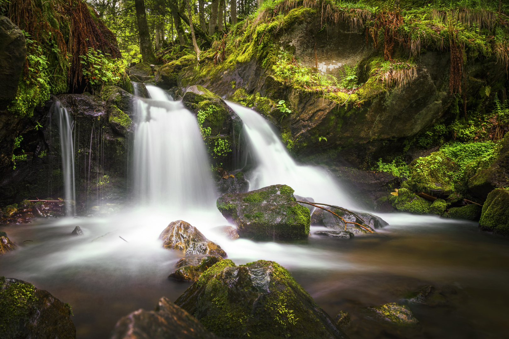 Sanfter Fluss Foto & Bild archiv projekte naturchannel