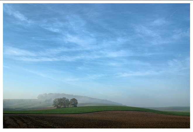 Sanfter Hügel im sanften Licht