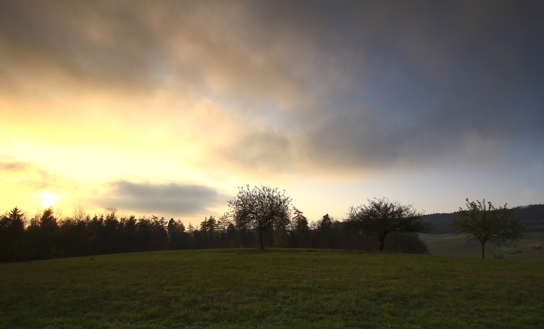 Sanftes abendliches Herbstlicht