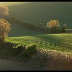 Sanftes Abendlicht