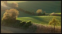 Sanftes Abendlicht