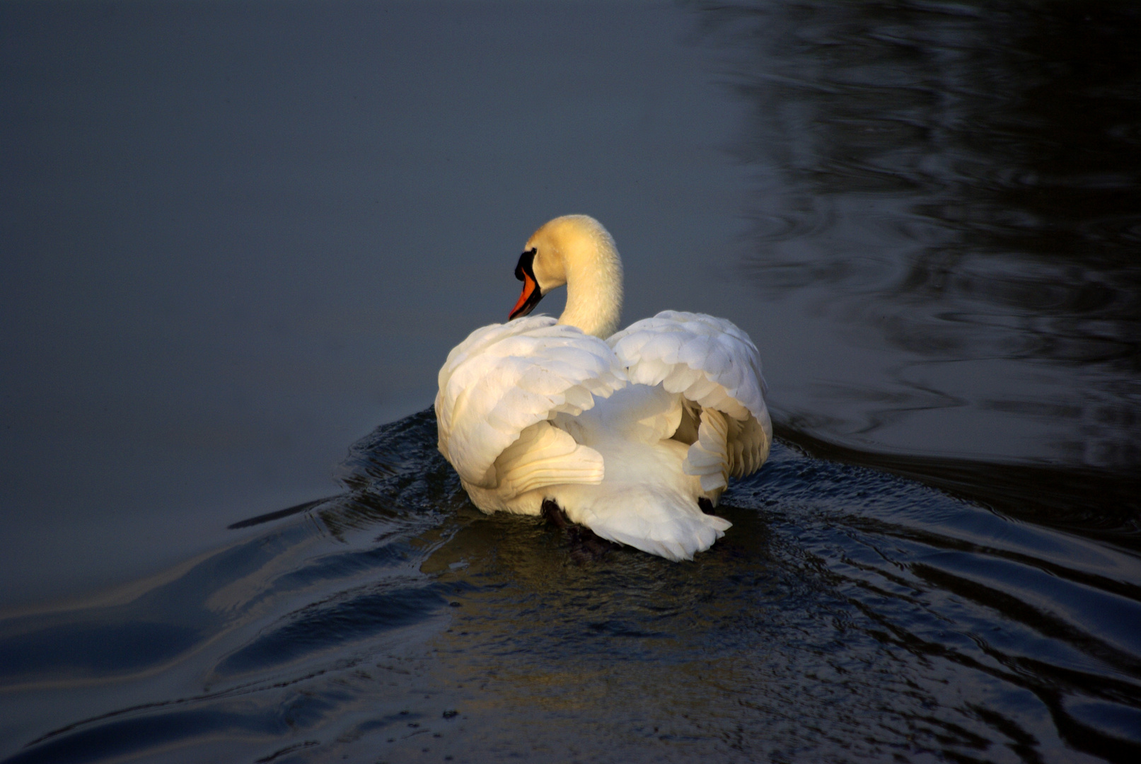 sanftes Gleiten