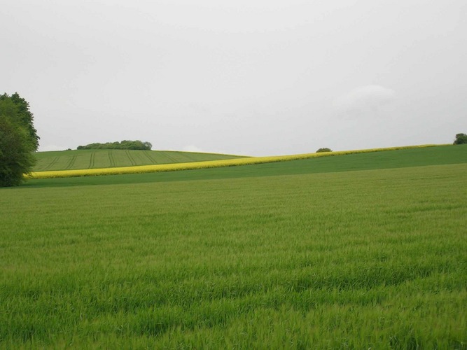 Sanftes Grün- Stemmer Berg