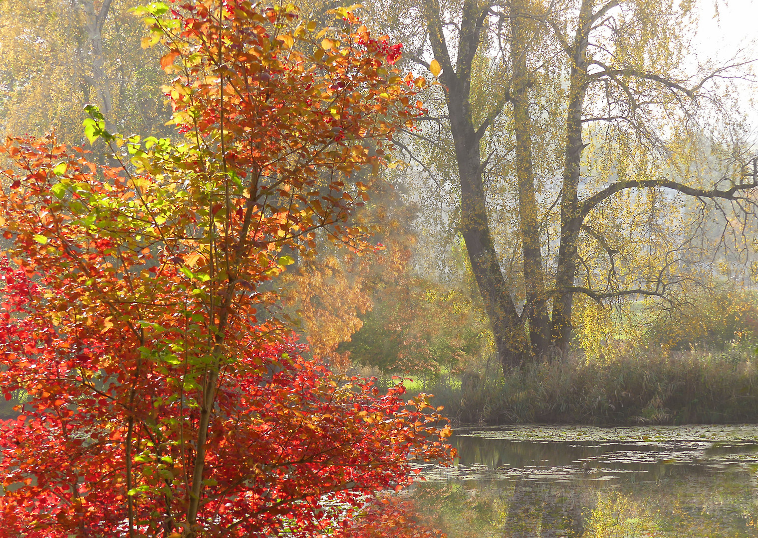 Sanftes Herbst- und Spiegebild