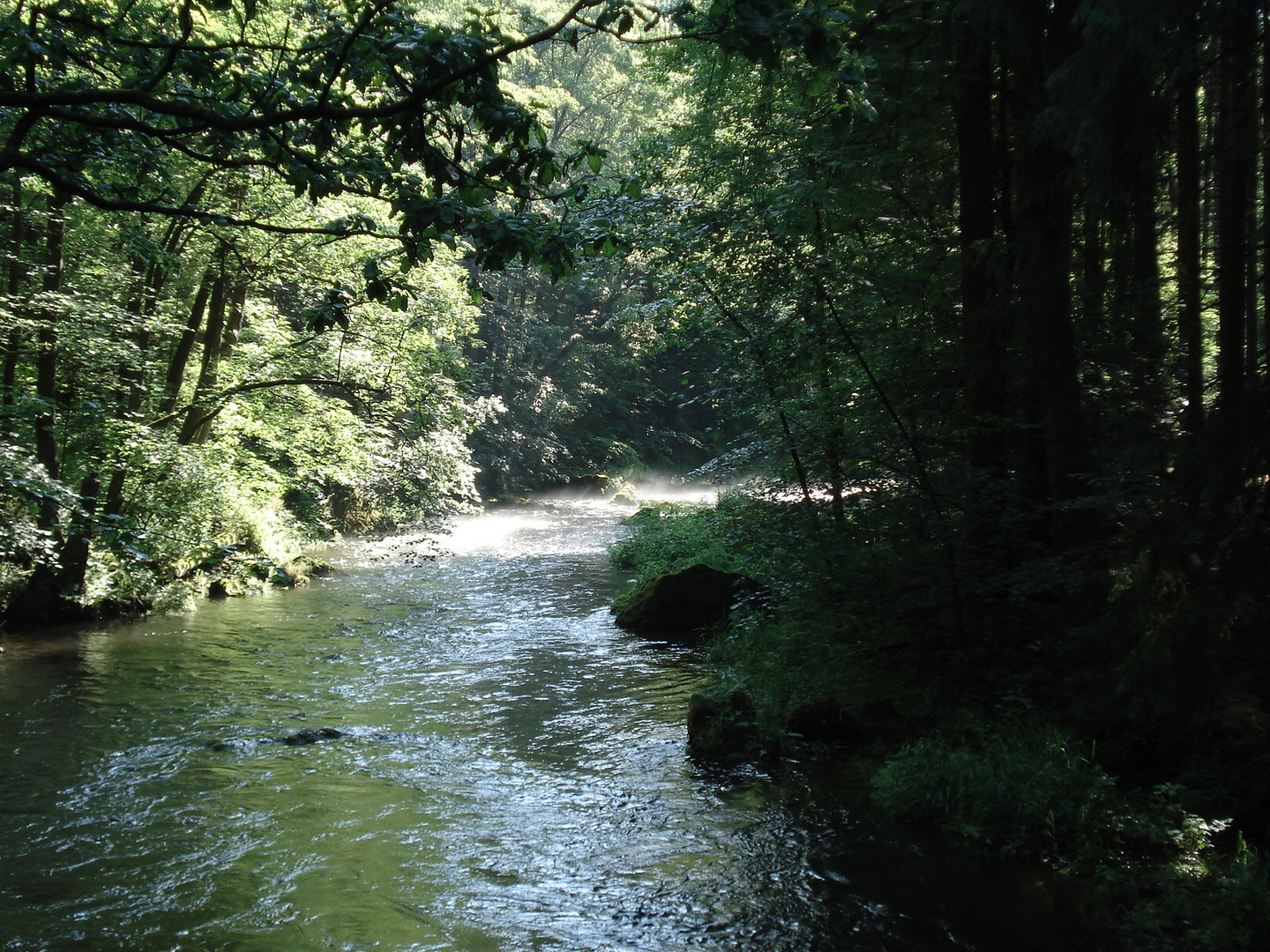 Sanftes Licht auf einen Flusslauf