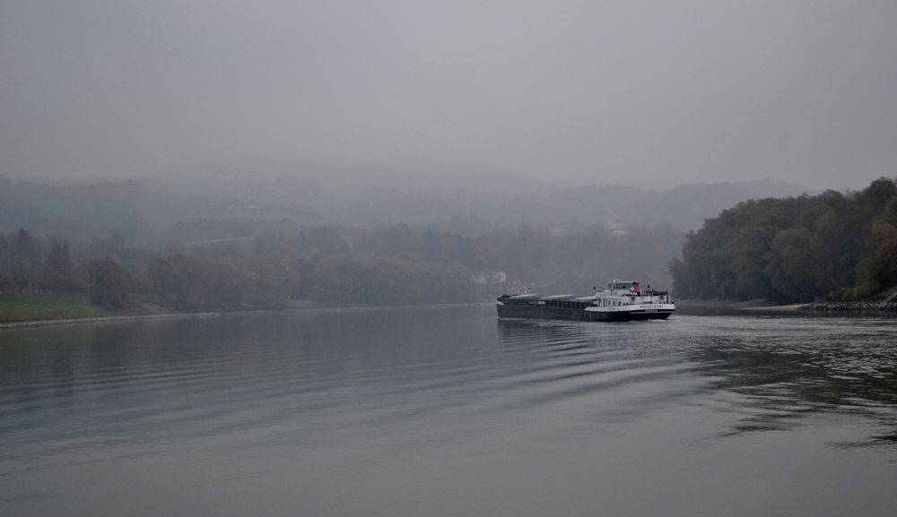 sanftes Licht über der Donau