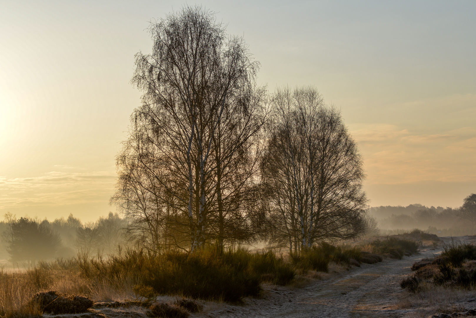 Sanftes Morgenlicht